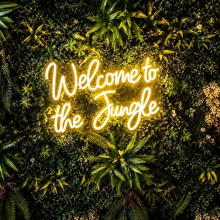 公寓 La Jungle Privatif Ambiance Tropical